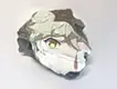 FACE_YGCHYTR