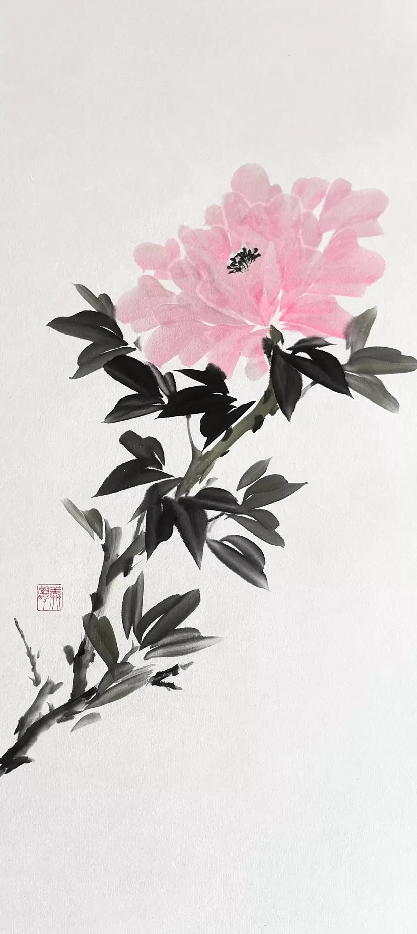 蛍光牡丹 by 花塚 美早