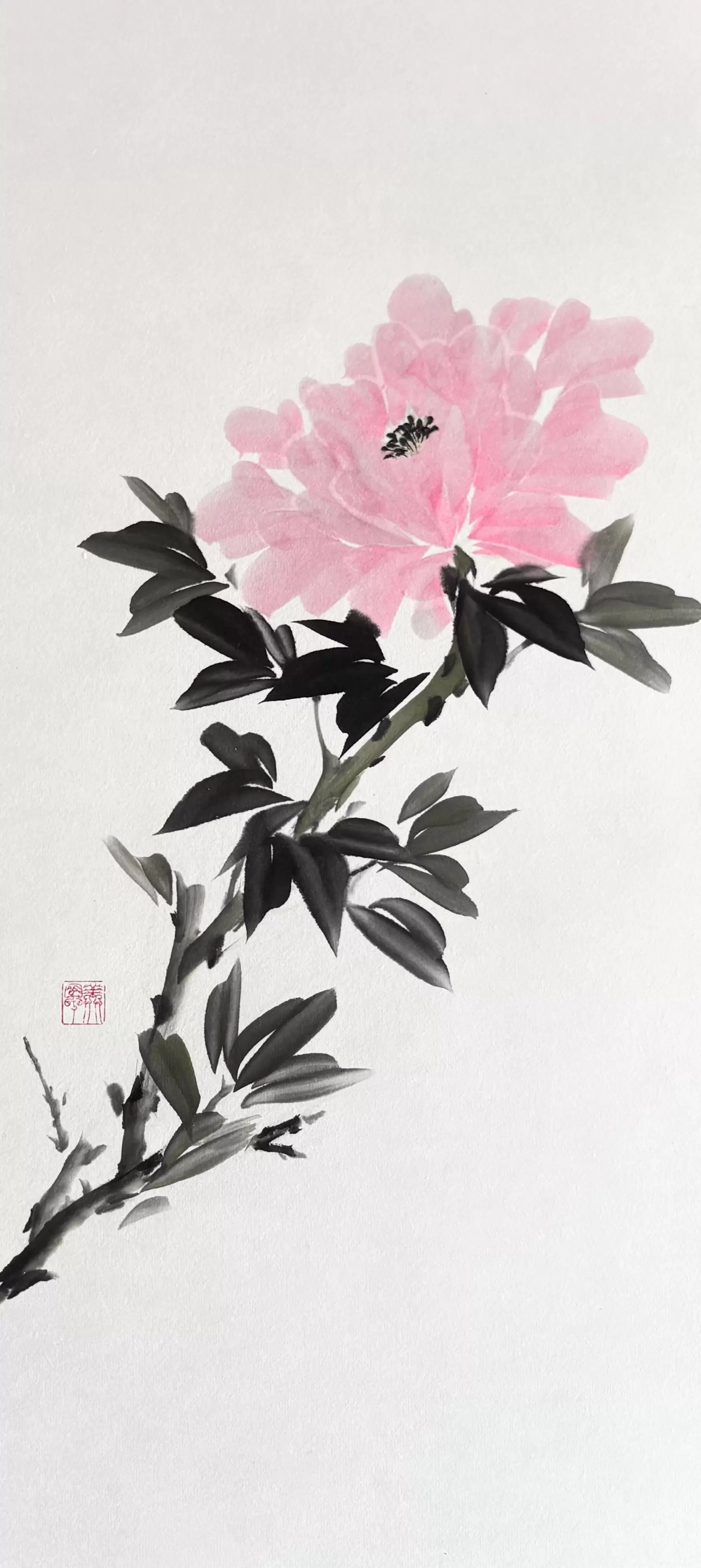 蛍光牡丹
