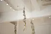 《逆さまの森》Upside down forest