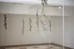 《逆さまの森》Upside down forest