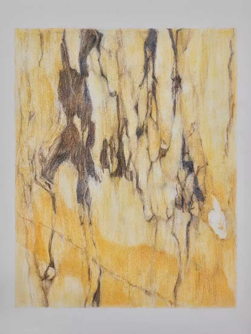 Drawing of Marble 27 Augst 2025 by 石黒 昭