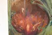 behind the eyelids,wedding in purgatory
