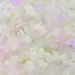 未定義の空間
