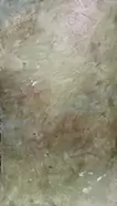 光ひろい No.1