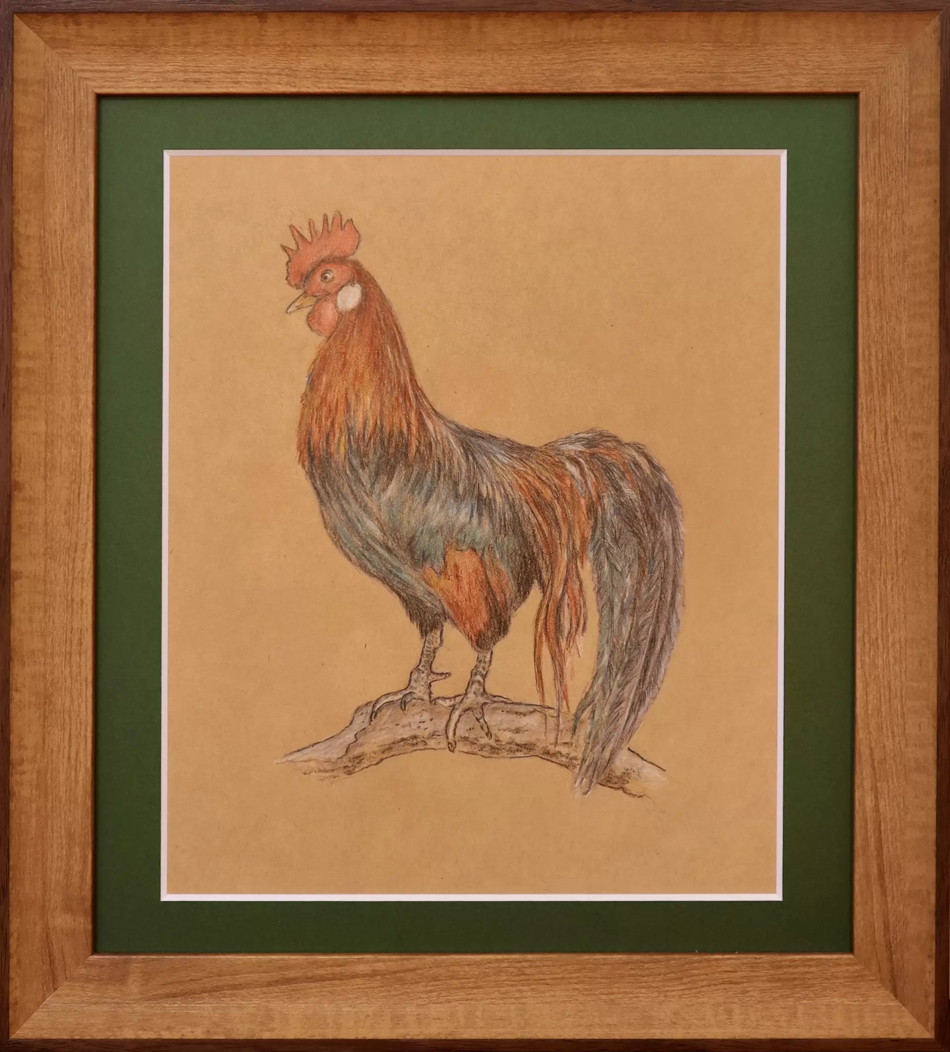 Rooster