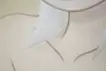 霧