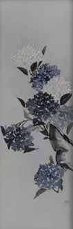 紫陽花圖 蒼