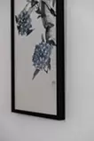 紫陽花圖 蒼
