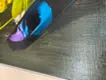 Dinosaur