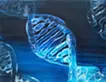 DNA