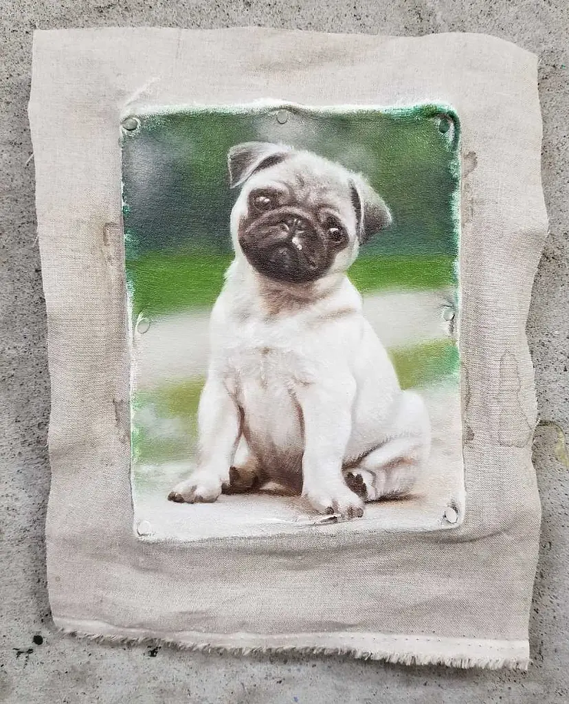 Pug by Ryoko Kumakura