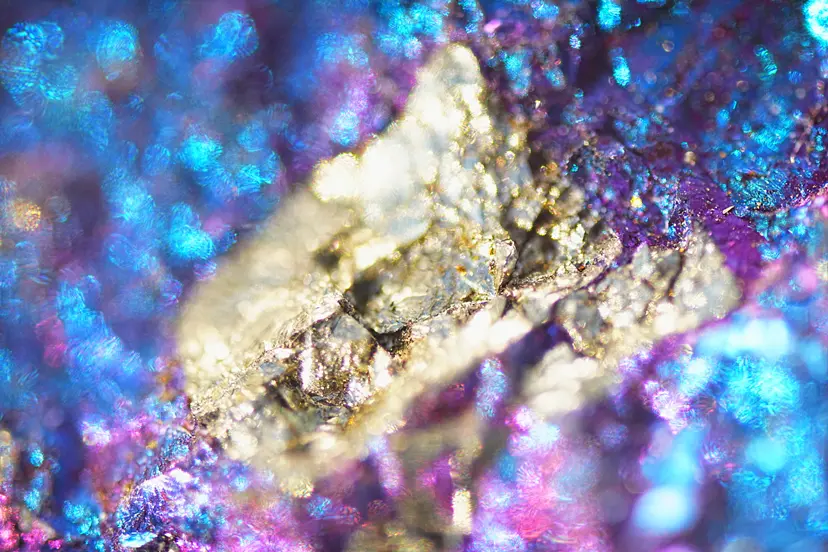 SunshineDropsC  02 by 田中亜紀 （AKITANAKA ）　ぷらっとphoToほーむ（PlaTphoToHome）