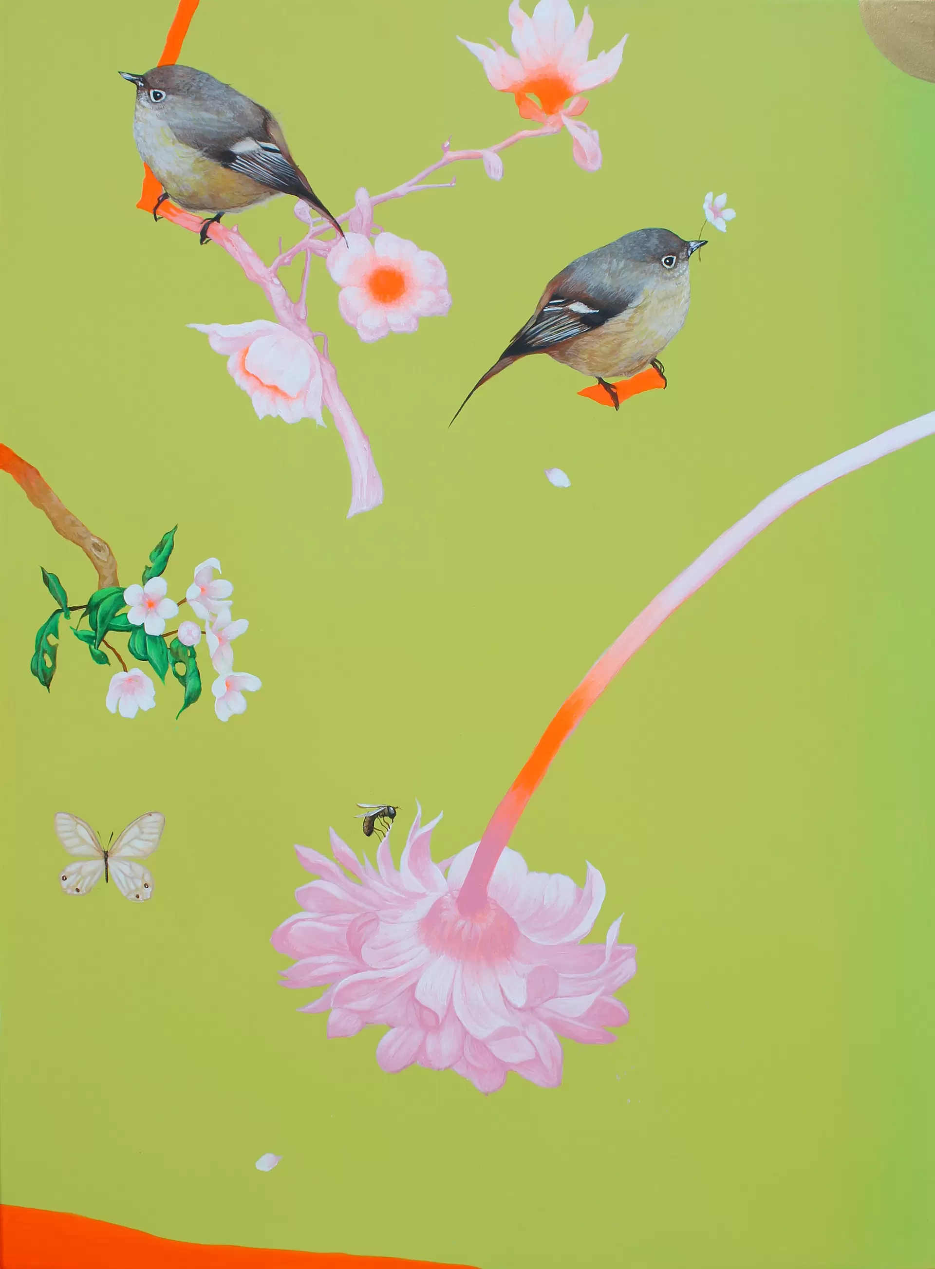 Bloom