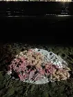 生成と制作のはざまで：海岸 / A Place Between Generation and Creation: shore