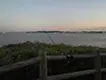 彼らのすみか、私たちのすみか / their territory ,our territory