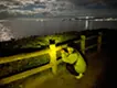 彼らのすみか、私たちのすみか / their territory ,our territory