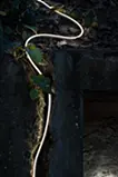 Tree says「　」