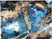 Blue in Flux