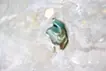 across the wind / Silver