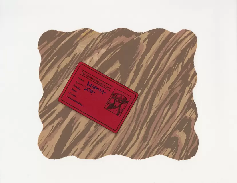 Pet Identification Card by Shiori Ichikawa