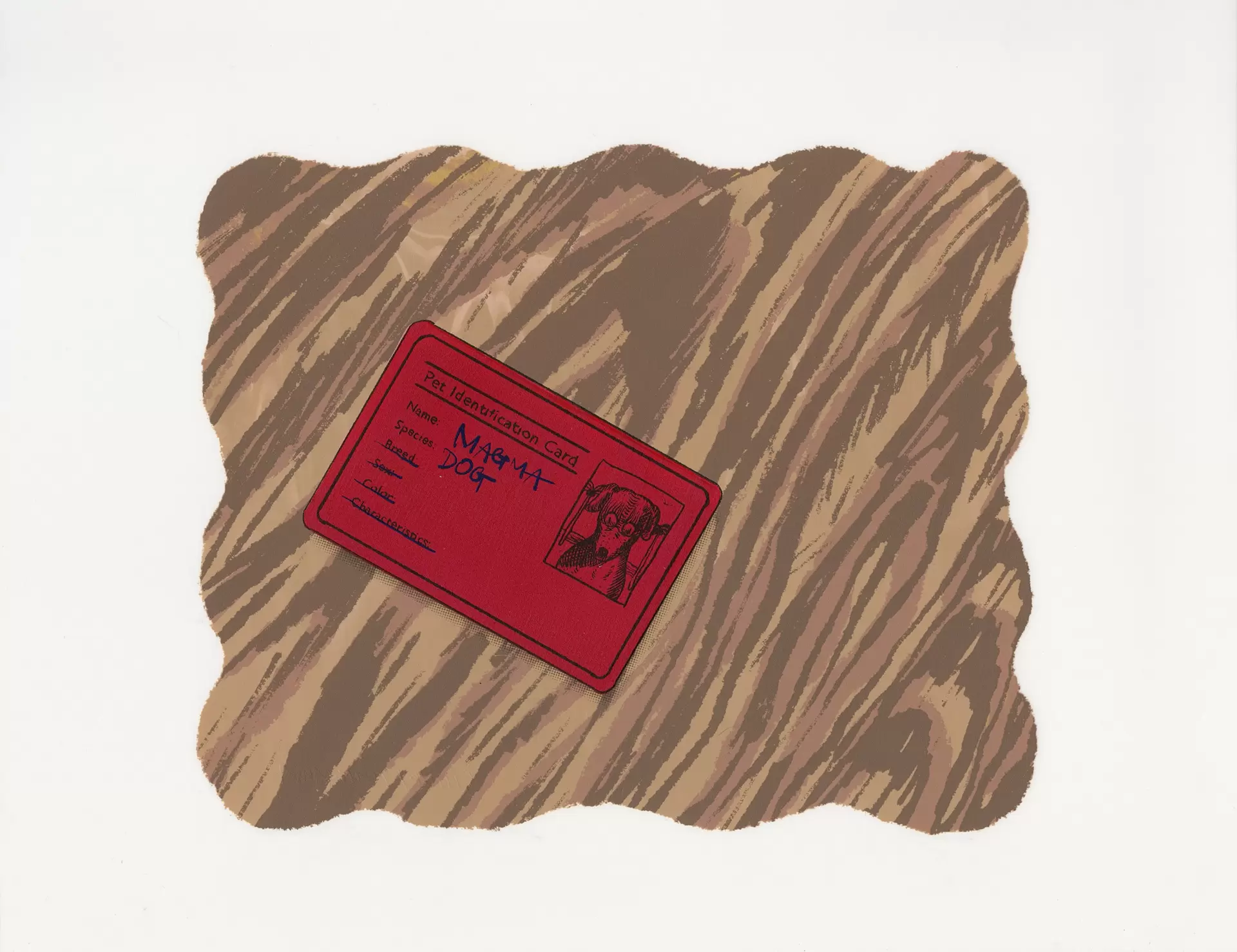 Pet Identification Card