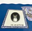 Cat Cookie Company