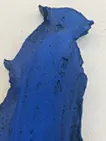 Tactile #31