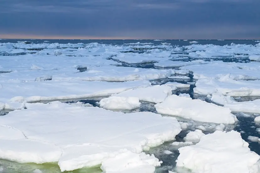 Drift Ice #1 by 遠藤文香