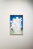 Luminous Plants #2