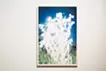 Luminous Plants #2