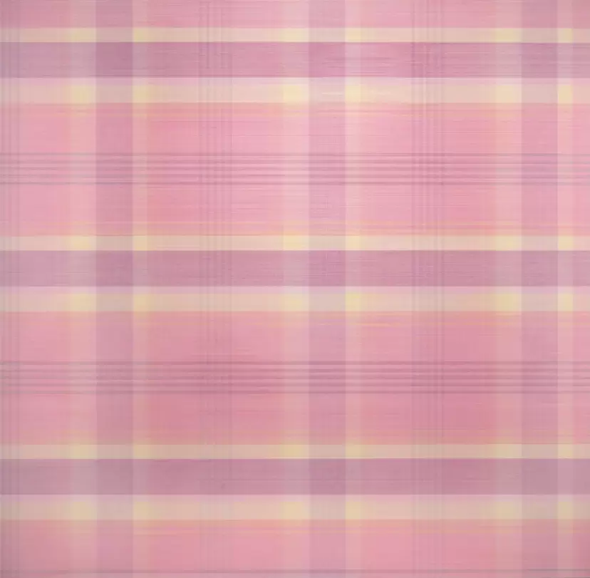 ''Layer by Layer'' by 杉山 愛姫