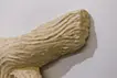Gorgon