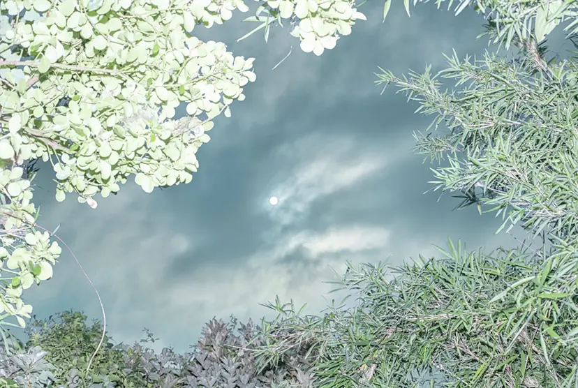White Sun by 遠藤文香