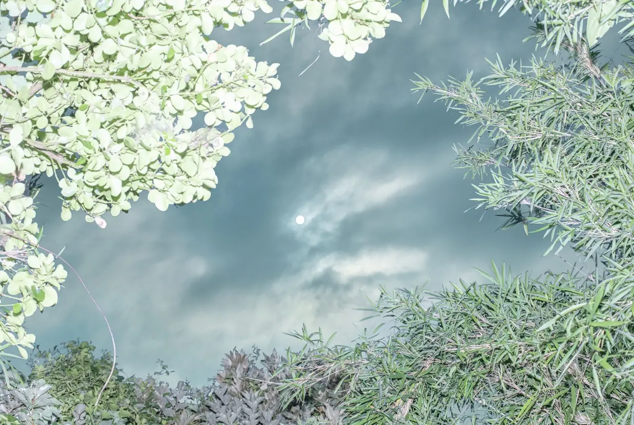 White Sun