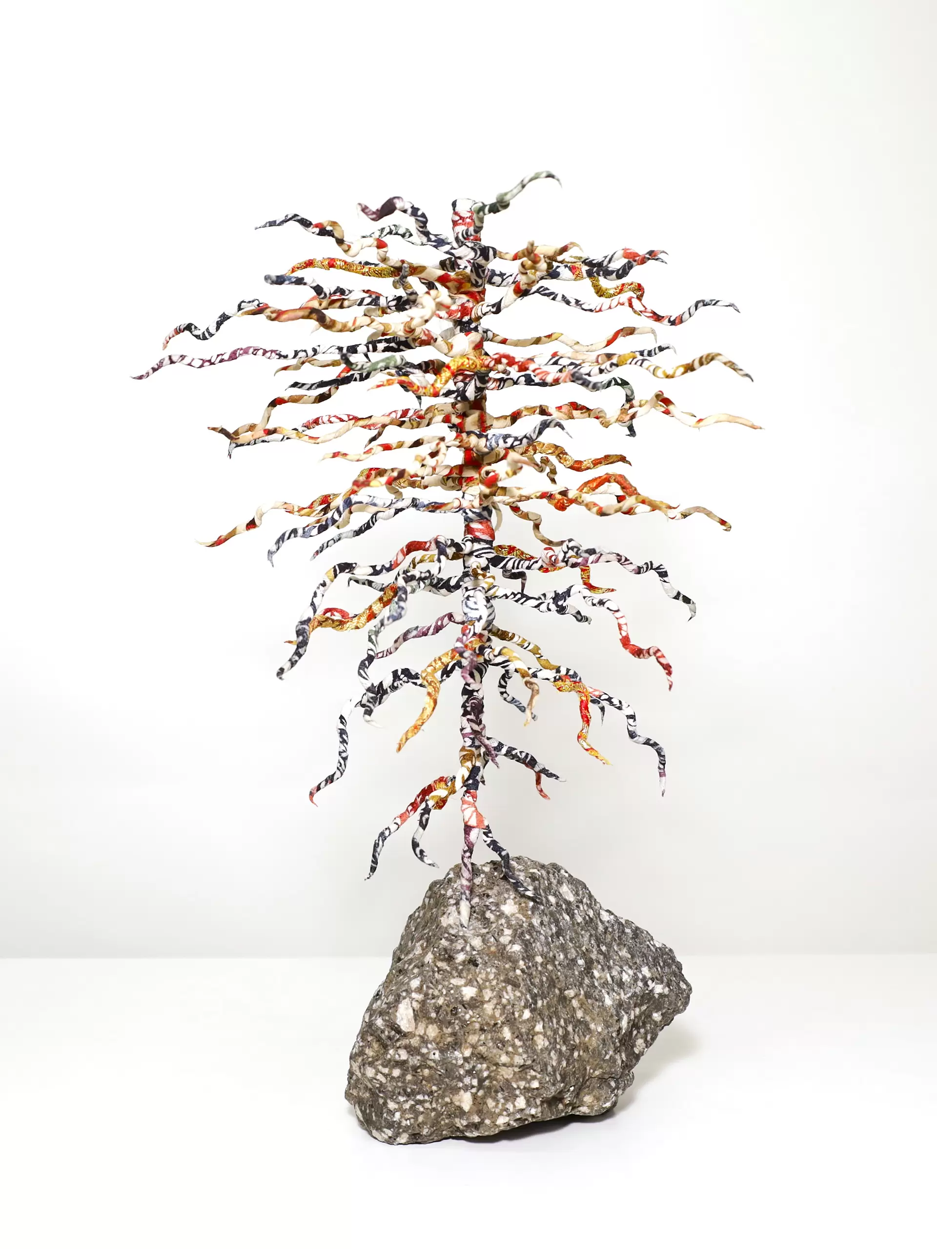 Rooted in Joy