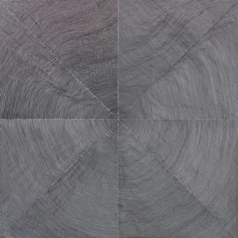 線を引いていく / I draw lines by HIRAKO Dan