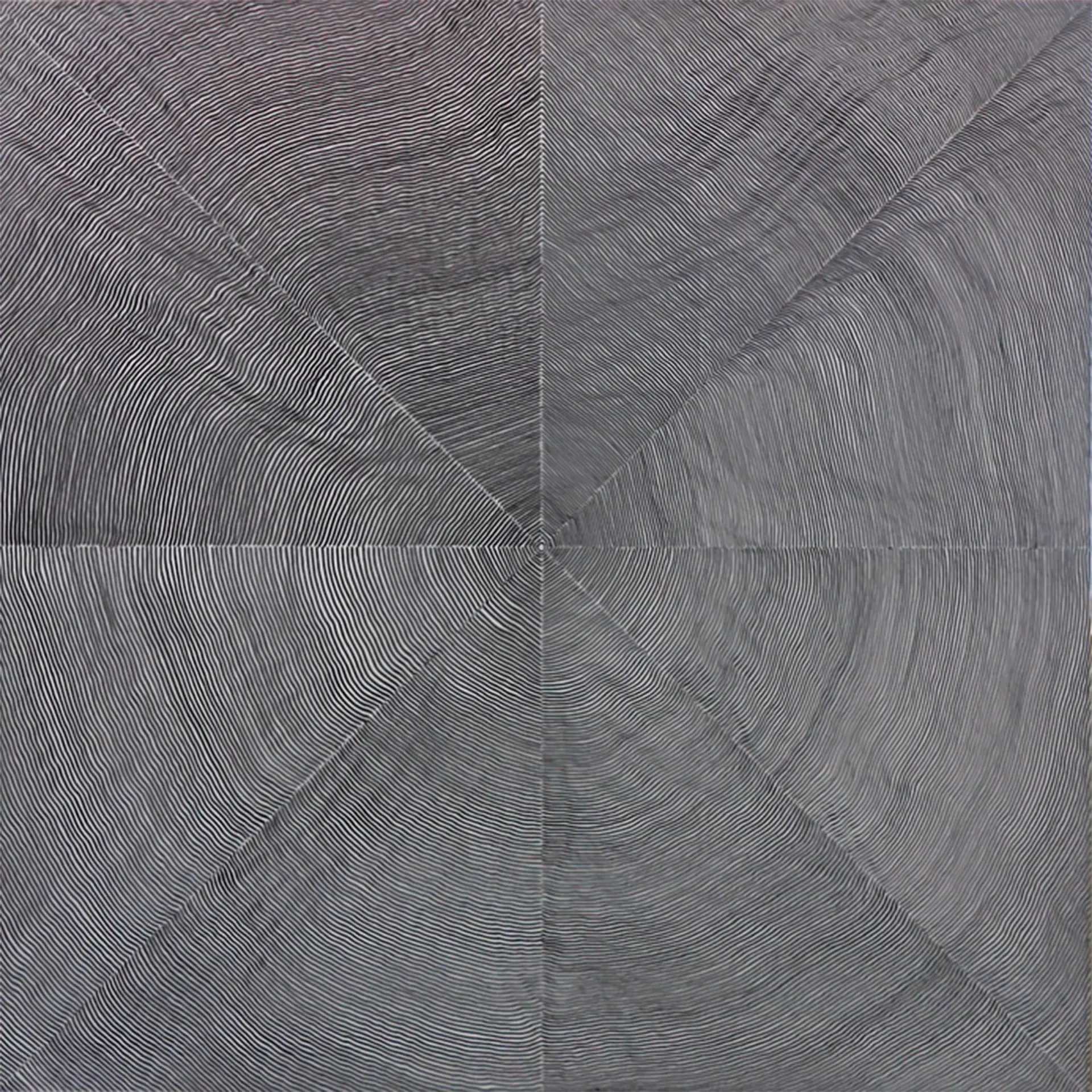 線を引いていく / I draw lines
