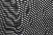 斜線を引き、交差させていく /  I draw diagonal lines and crossing them