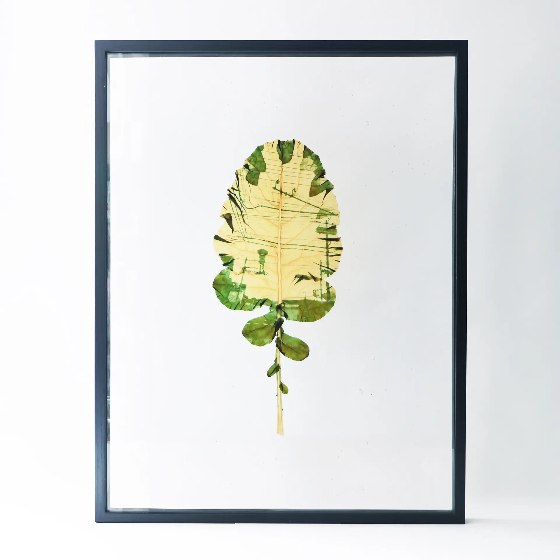 Past future: Palm trees