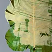 Past future: Palm trees