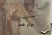 What I Remember 5
