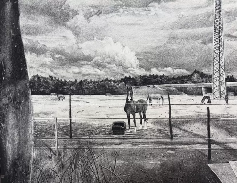 Dutch horses by Amane Nakamura