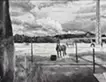 Dutch horses