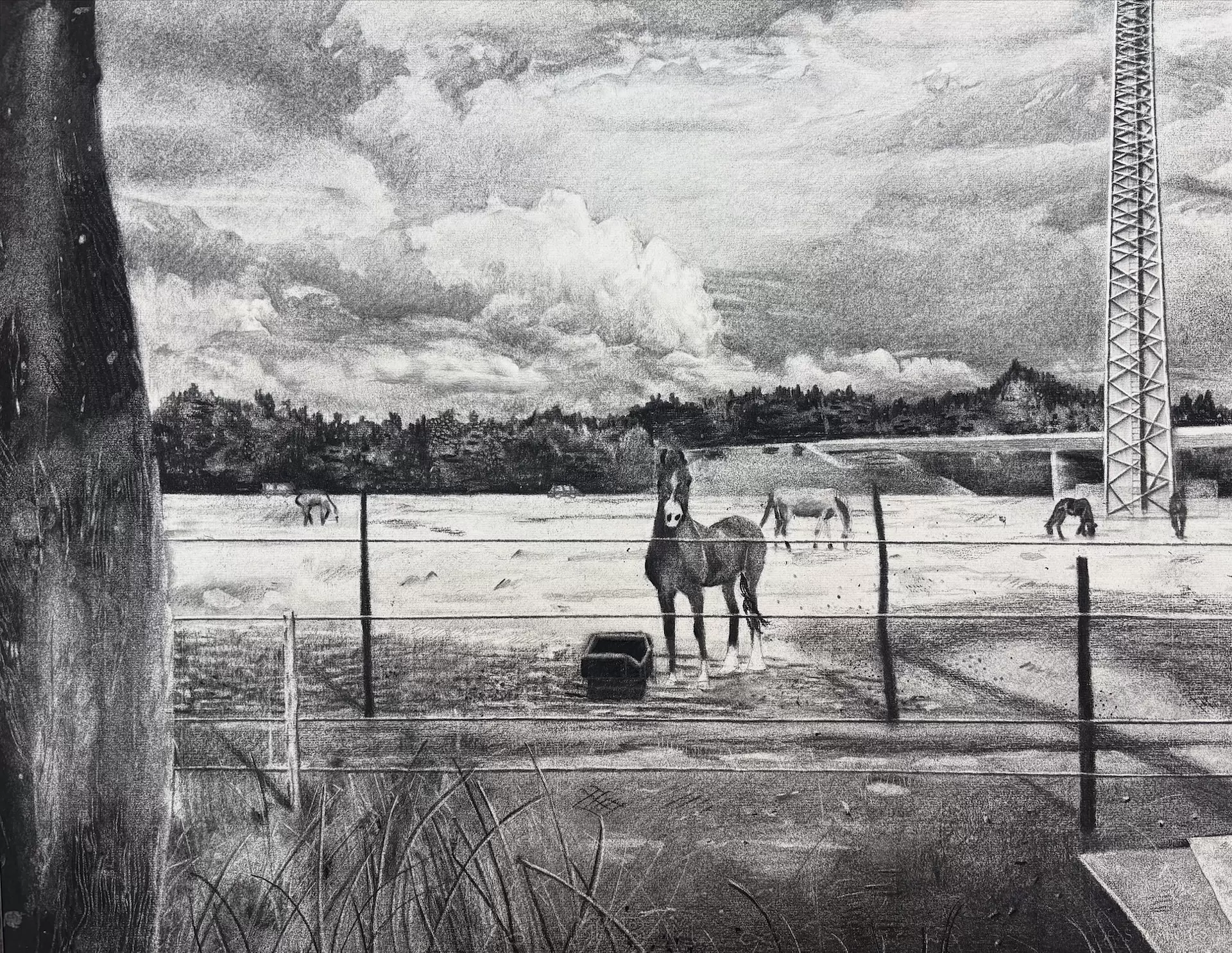 Dutch horses