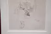 Madame as a Drawing(in Chofu city)
