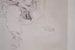 Madame as a Drawing(in Chofu city)