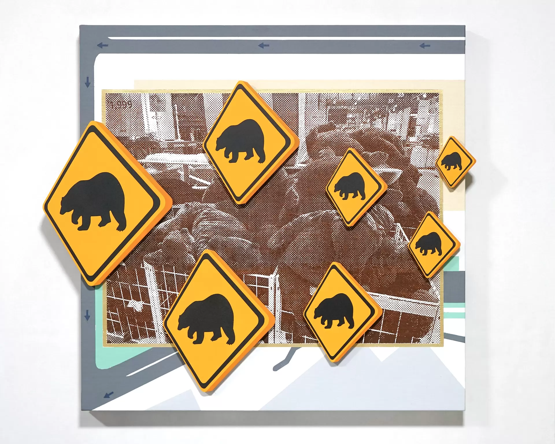 BEAR IN AREA