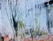Sun Shower