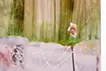 Green Layer